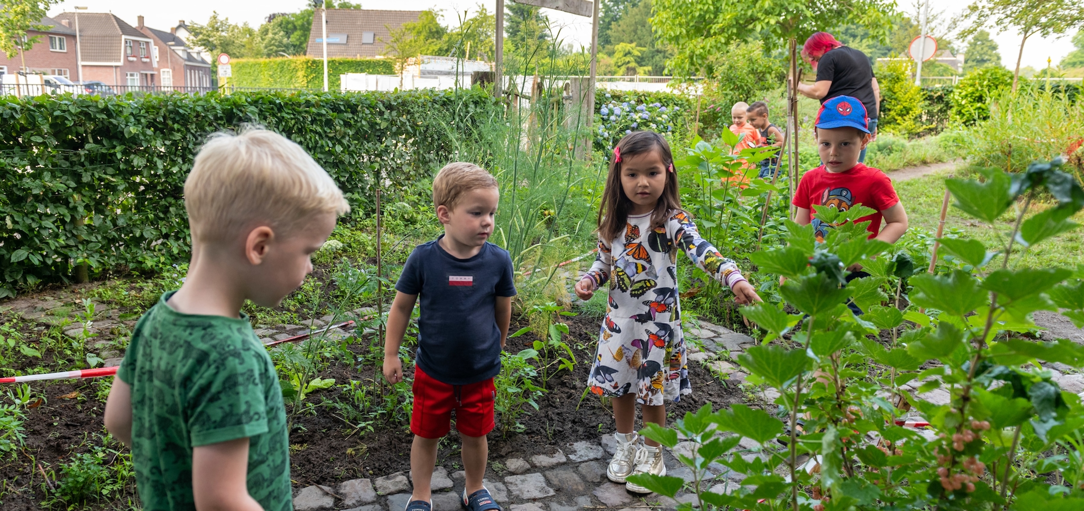 Buiten ontdekken bij Hummelhofje