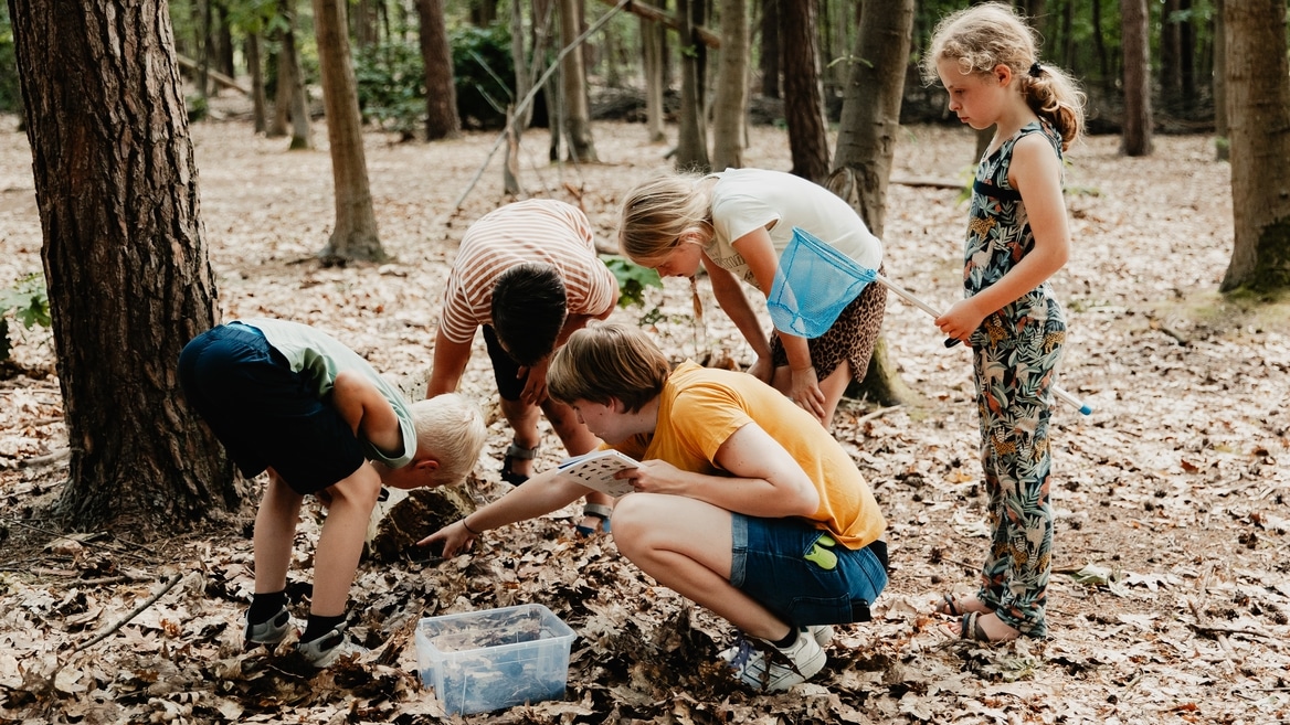 Kinderen in het bos op zoek naar diertjes