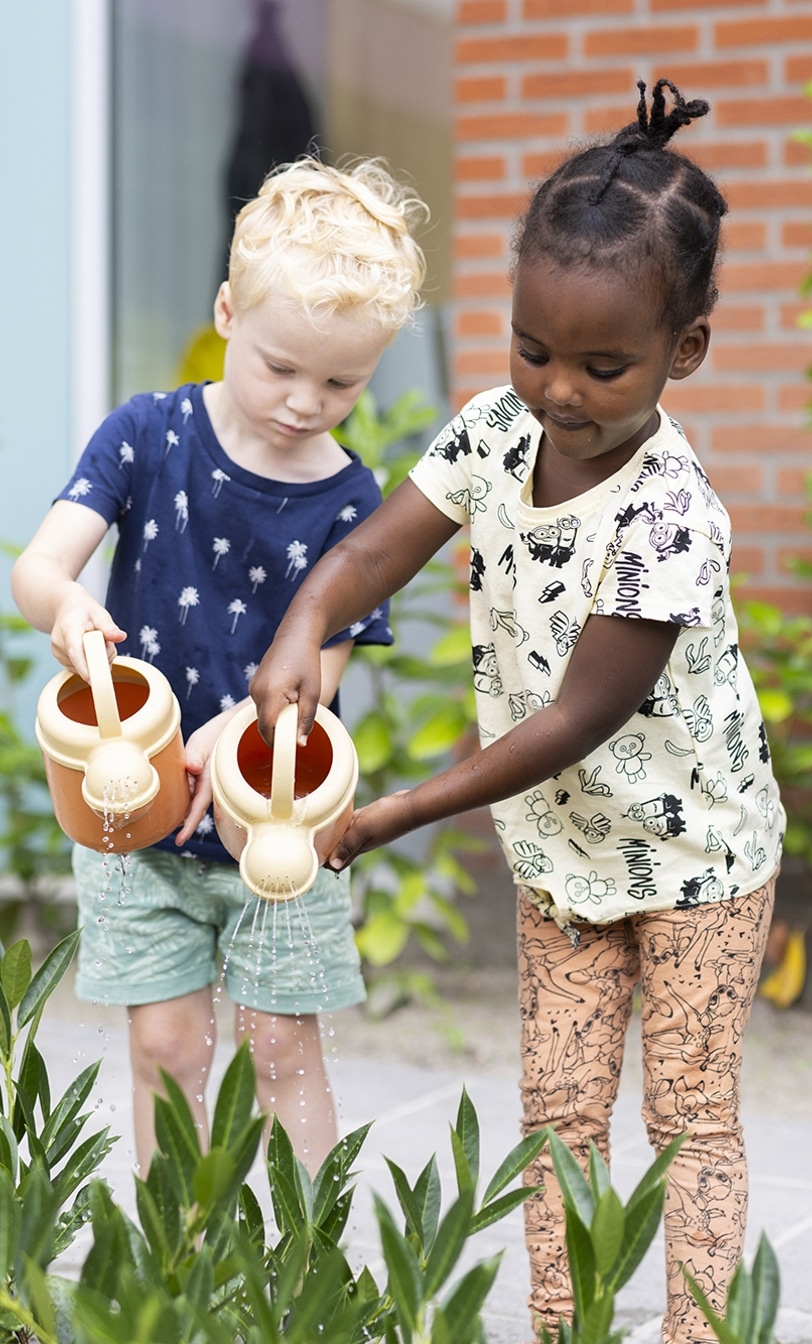 Watering plants