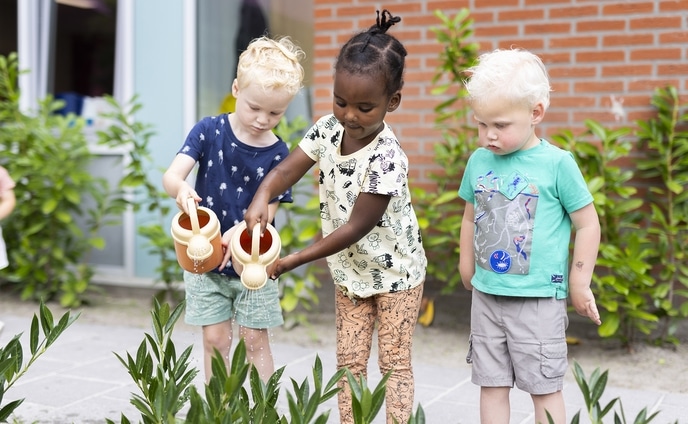 Watering plants